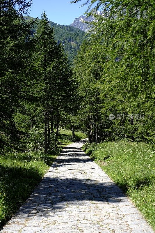 Alpe Devero - Piedmont - Italy报道